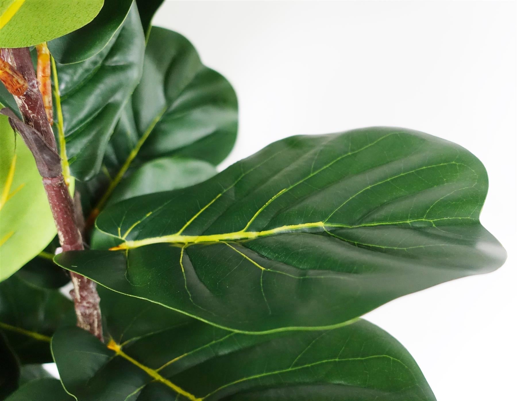Artificial Fiddle Leaf Fig Tree - 180cm Slim