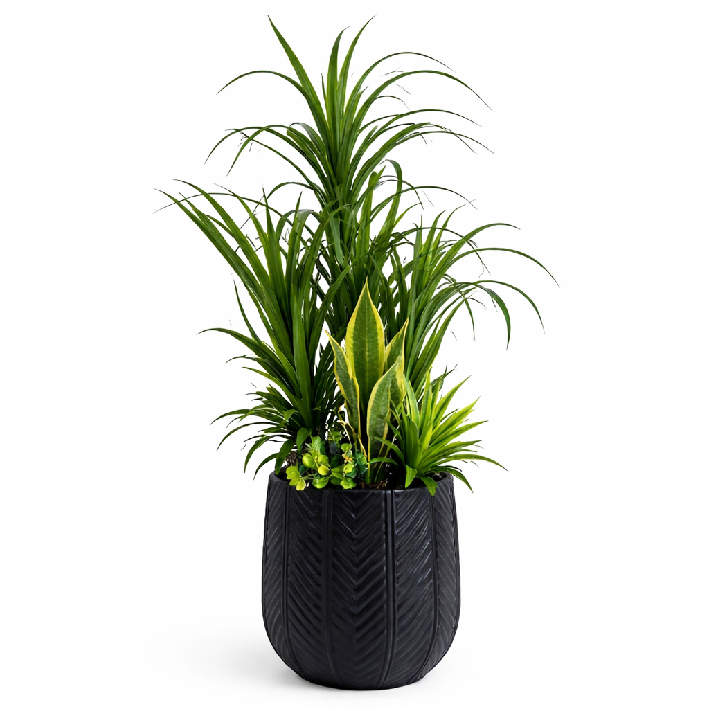 Faux Yucca Plant in Matte Black Pot - 100cm