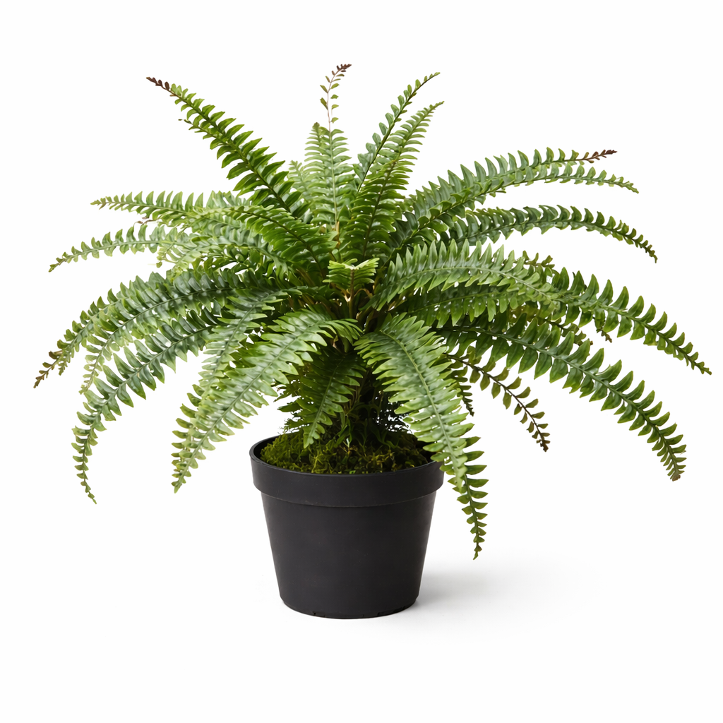 Faux Boston Fern in Pot - 60cm