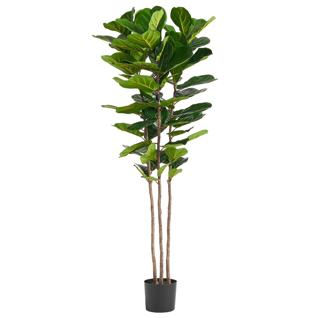 Artificial Fiddle Leaf Fig Tree - 180cm Slim