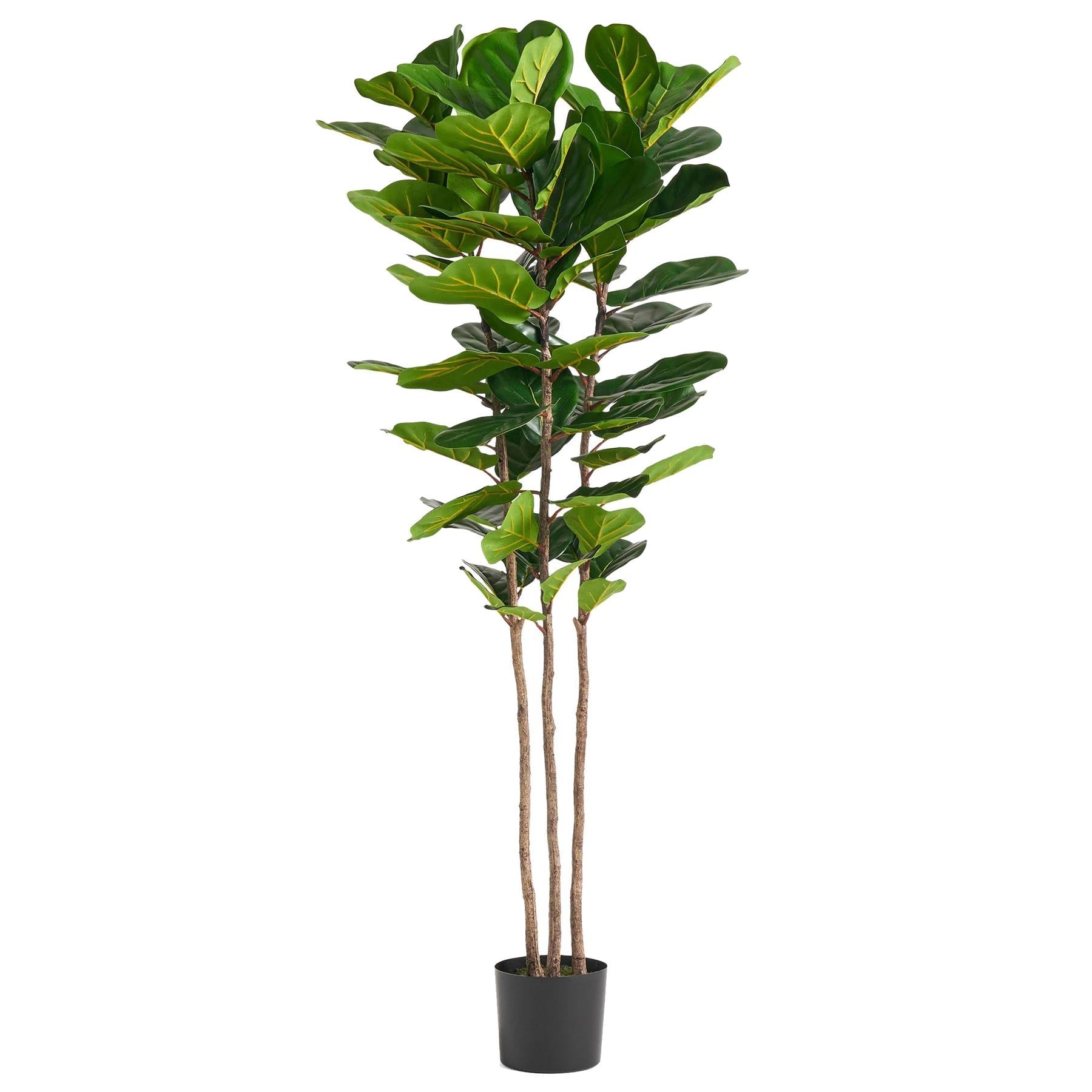 Artificial Fiddle Leaf Fig Tree - 180cm Slim