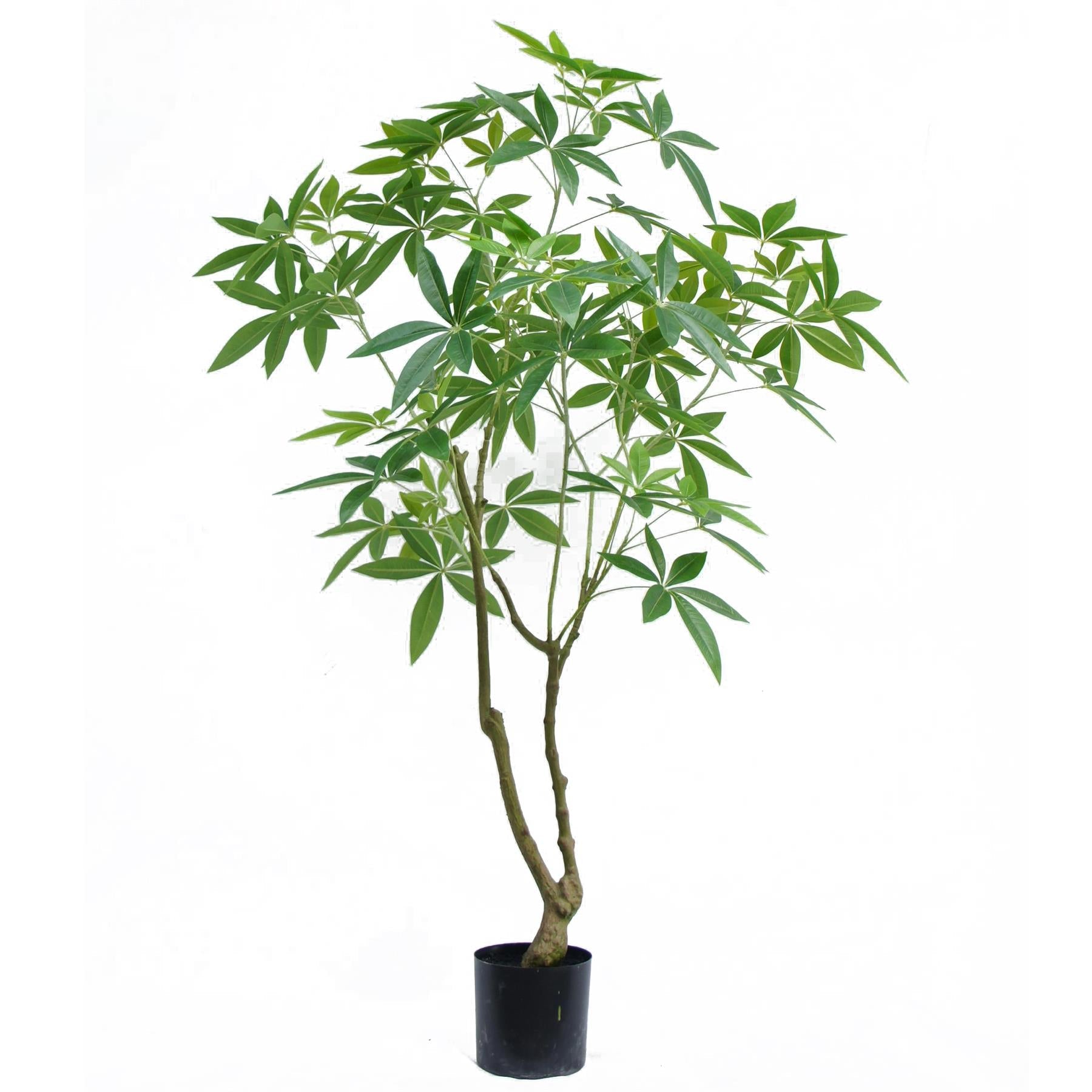 Artificial Money Tree – 150cm
