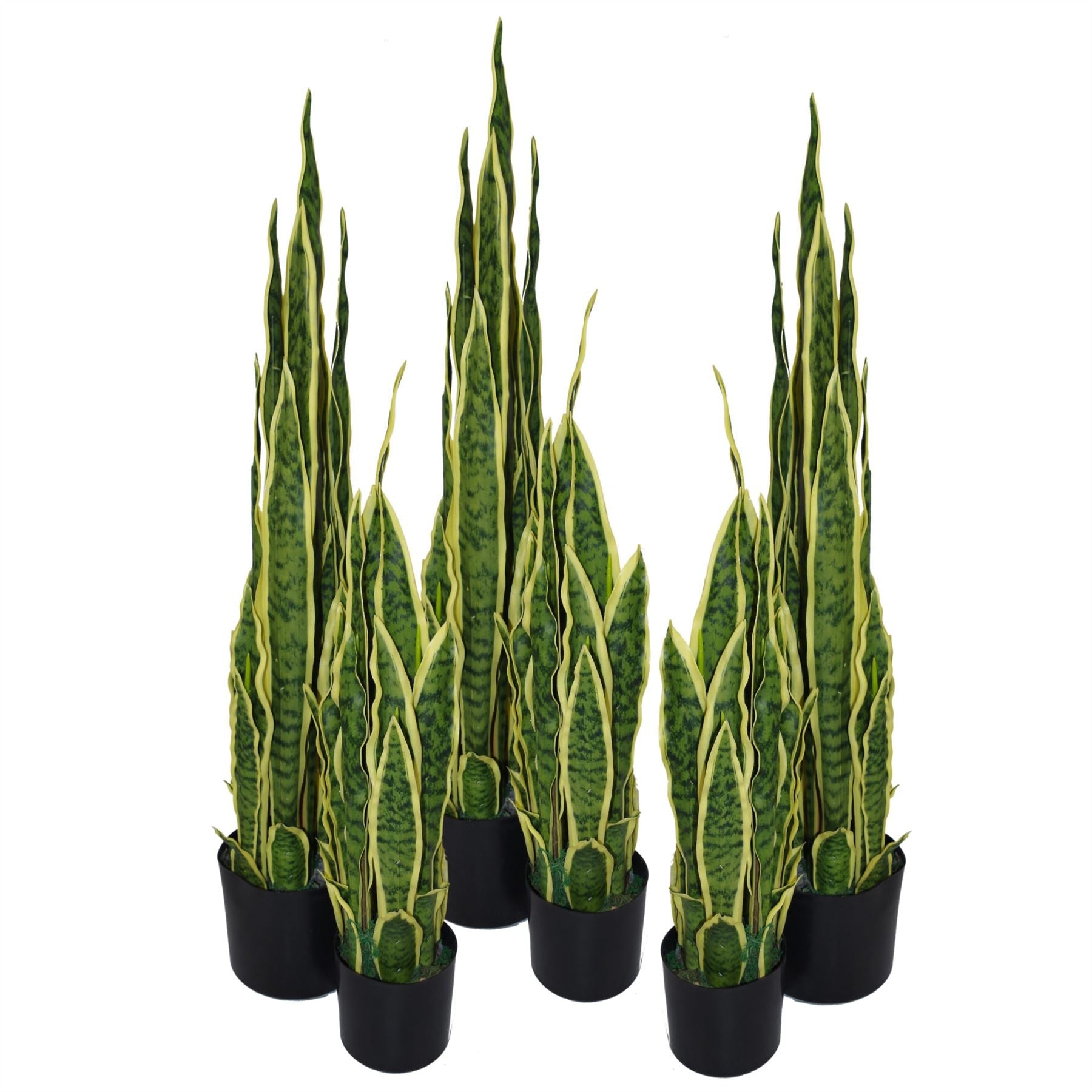 Artificial Sansevieria Tropical Snake Plant - 55cm