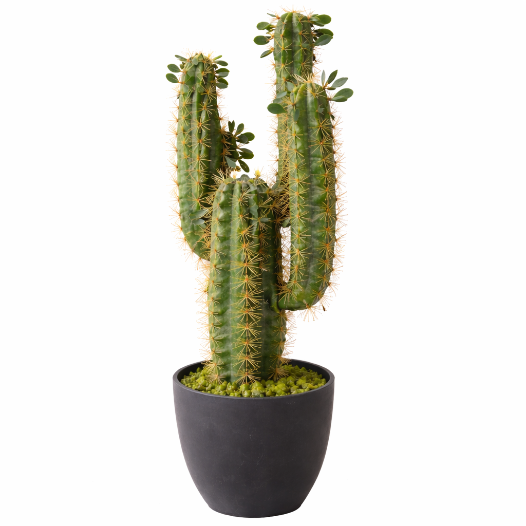 Faux Cactus in Black Pot - 75cm