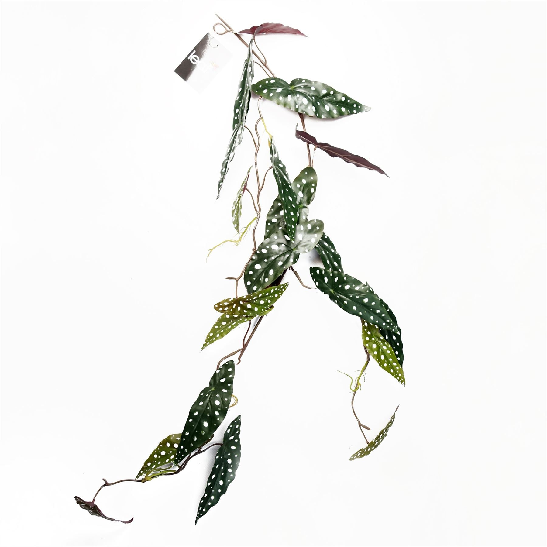 Faux Hanging Begonia Maculata Stem - 110cm