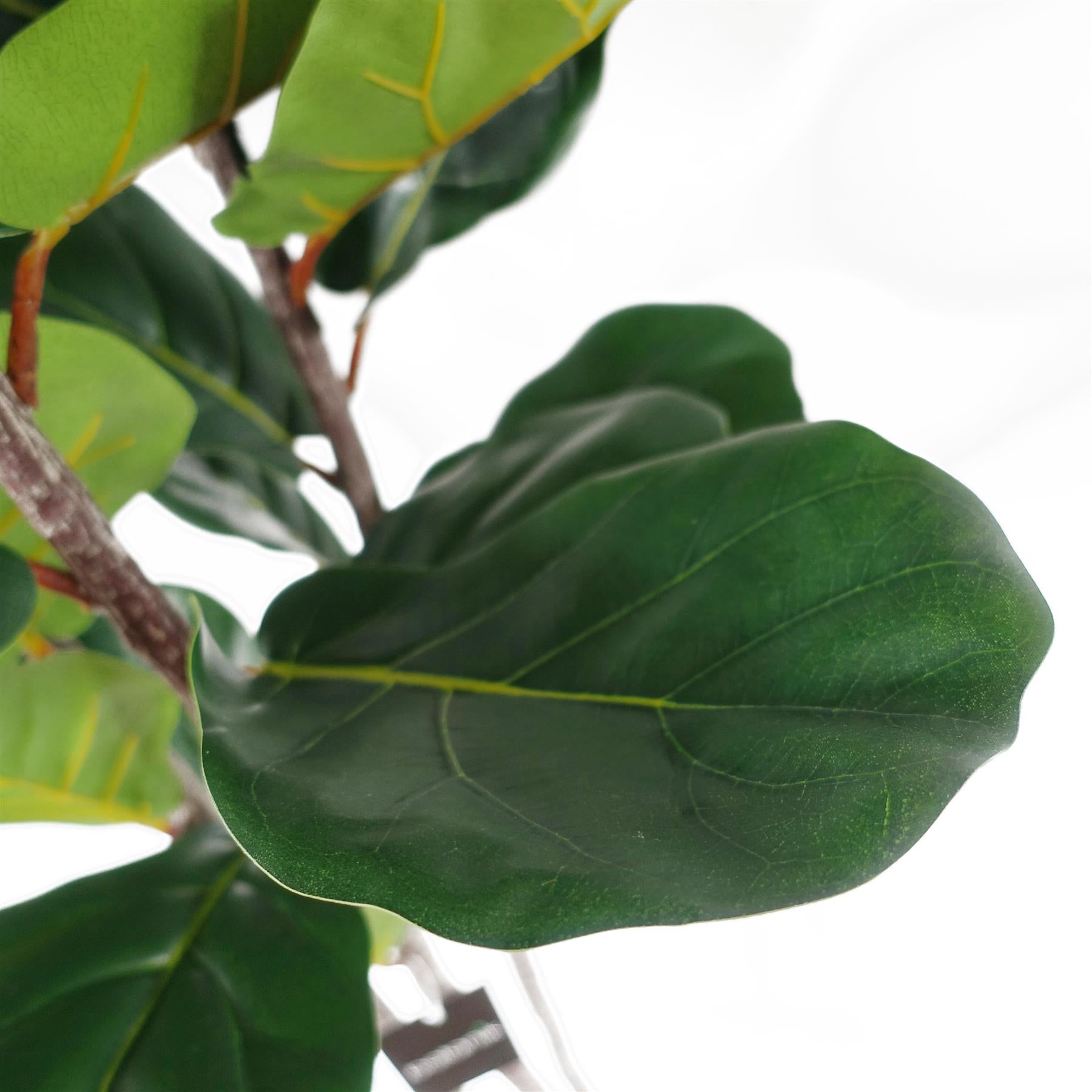 Artificial Fiddle Leaf Fig Tree - 180cm Slim