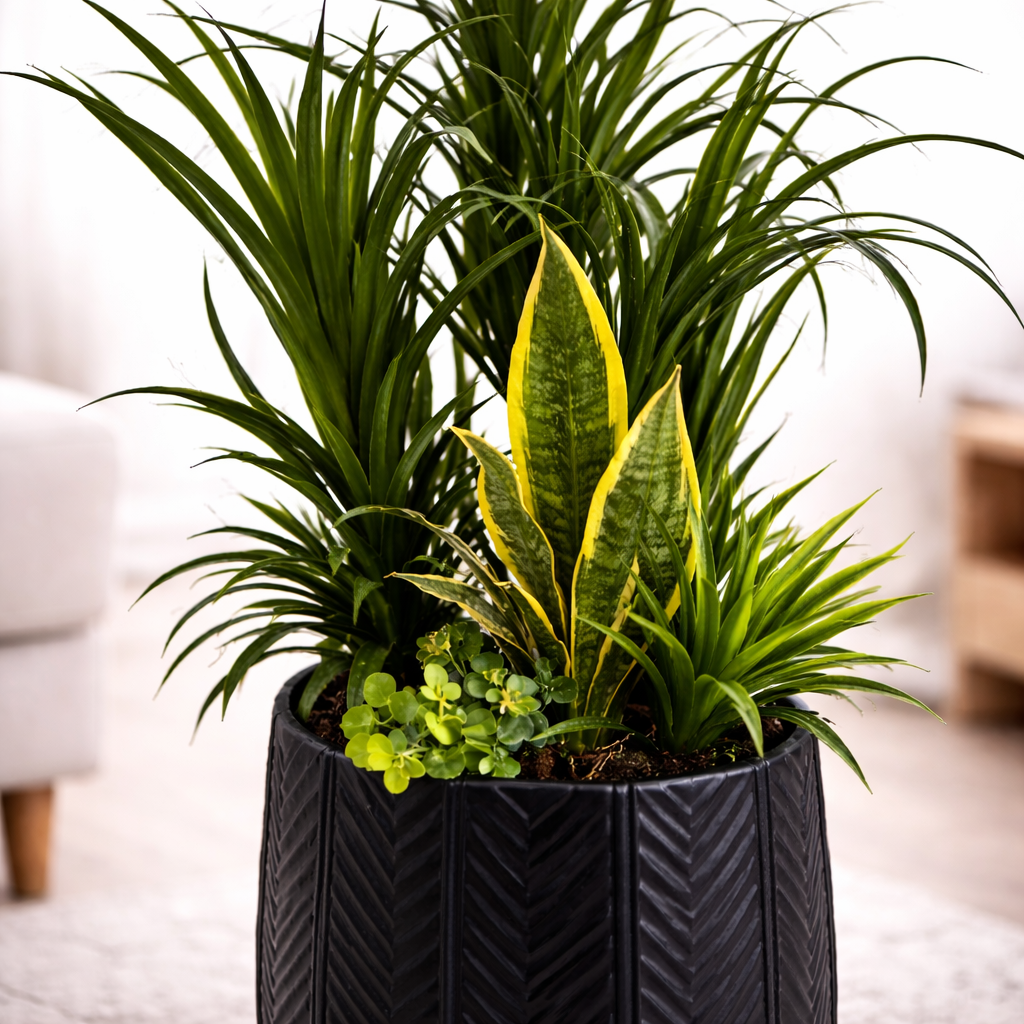 Faux Yucca Plant in Matte Black Pot - 100cm