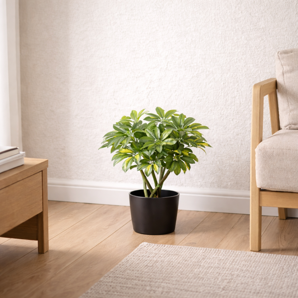 Faux Twisted Stem Arboricola Bonsai - 70cm