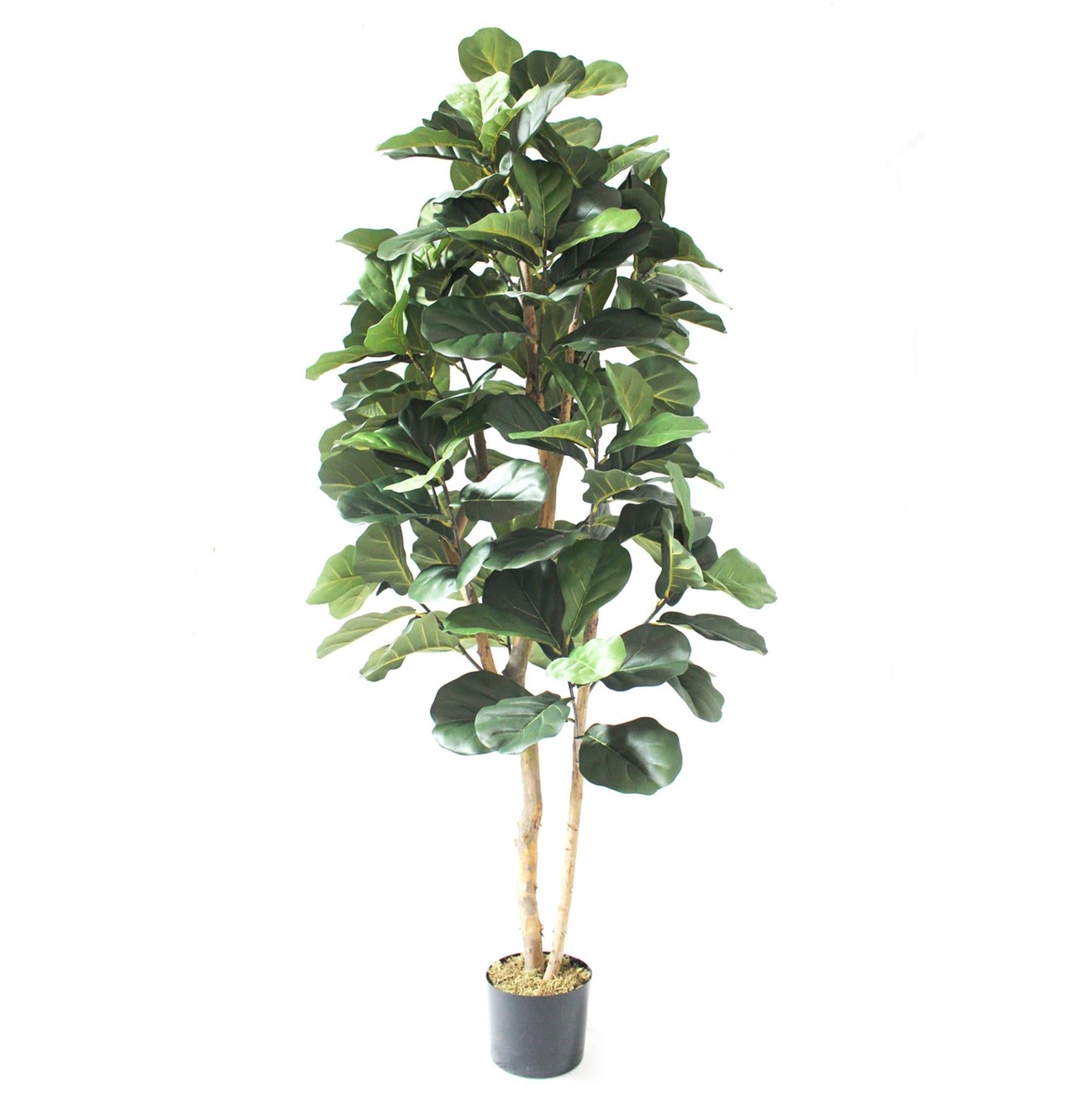 Artificial Fiddle Leaf Fig Tree – 180cm