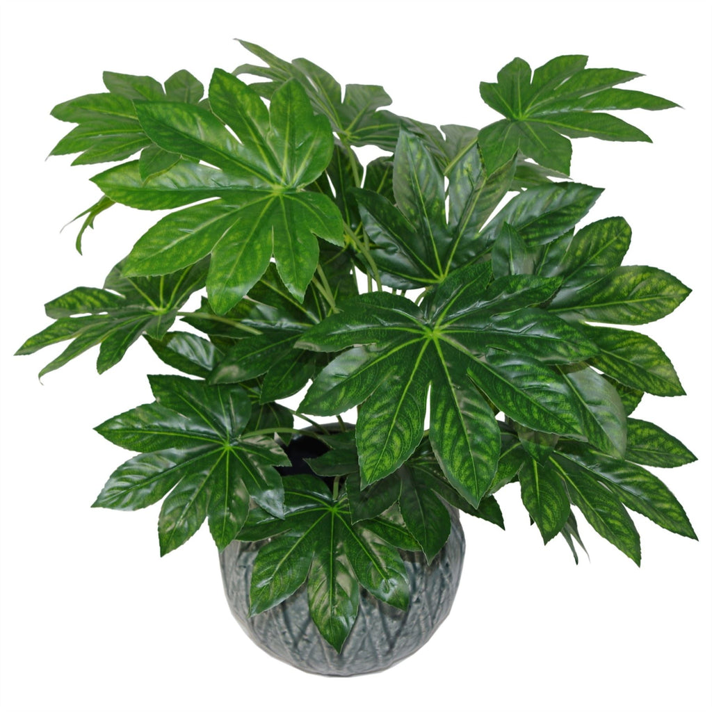 Faux Aralia Plant - 60cm