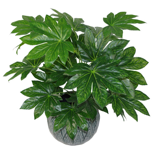 Faux Aralia Plant - 60cm